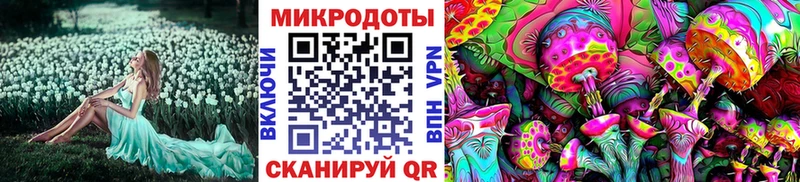 Псилоцибиновые грибы Psilocybine cubensis  Нахабино 